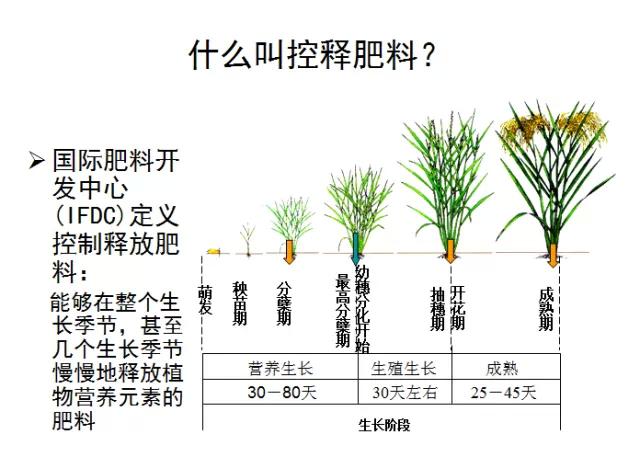 紅四方緩控釋肥高科技