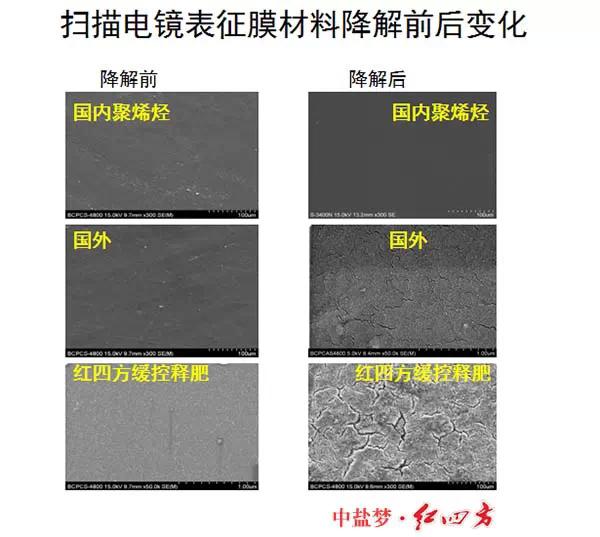 紅四方緩控釋肥高科技