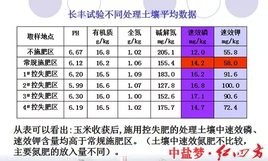 長豐實驗土壤處理對比圖，控失肥同樣取得好成績。