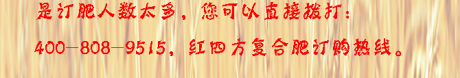 紅四方糧升之作小麥肥48%（26-14-8）27