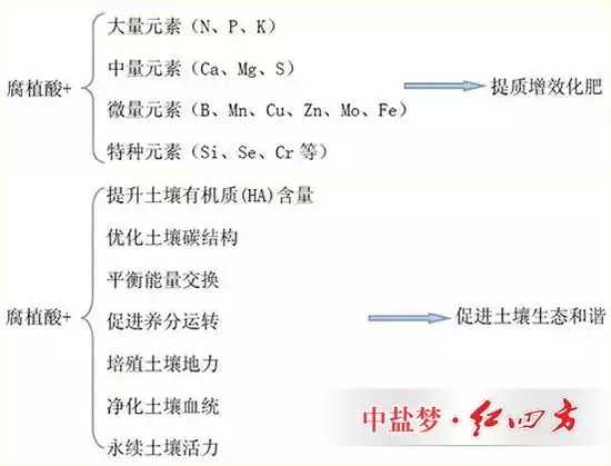 黑金含有的腐植酸能夠提質增效化肥，能夠促進土壤生態和諧