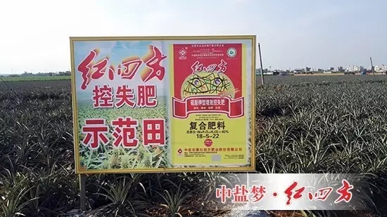 我們決定對(duì)高塔肥料南方包裝袋的縫合方式進(jìn)行改進(jìn)，目前客戶反饋的信息非常良好，連帶著銷售積極性都增強(qiáng)許多。