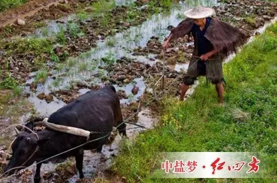 一些長期研究該問題的農學家認為，過去數千年的現實告訴我們，這一思路可能是錯誤的，那些純天然耕作的土地并沒有表現出“肥力十足”。相反，這種做法加速了土壤肥力的減退。